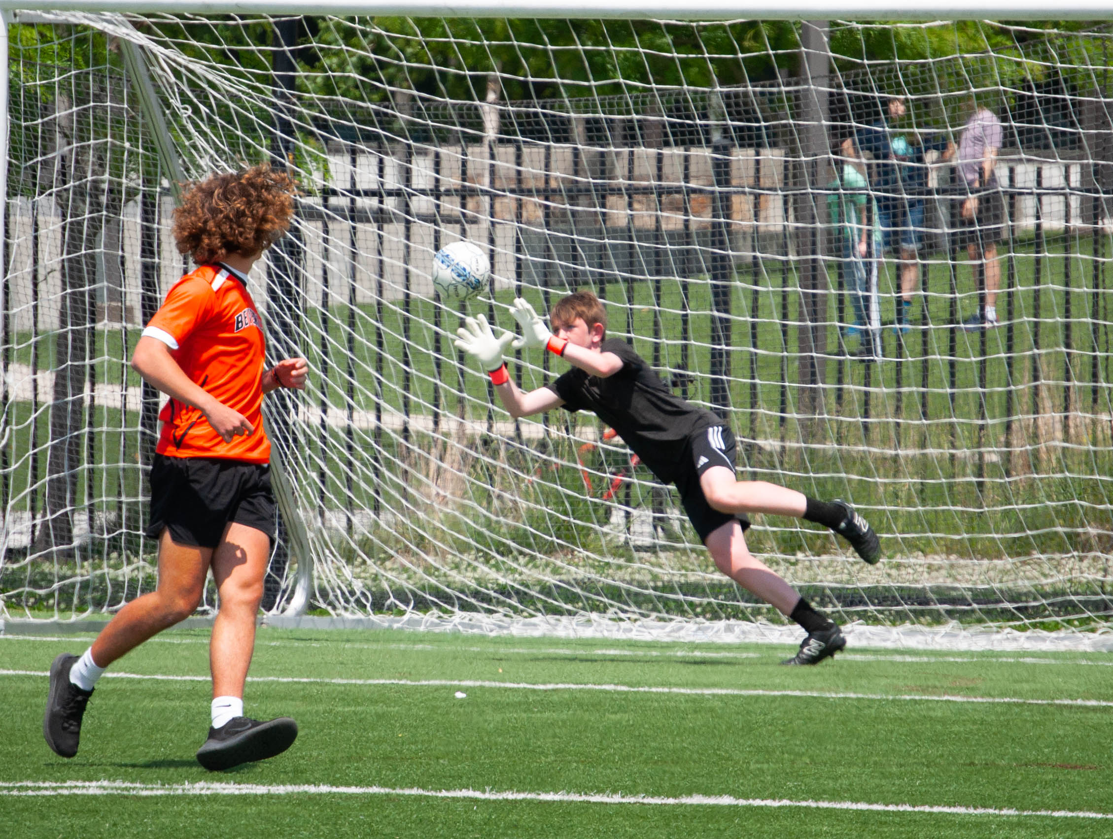 Aurora Borealis photographed by Alex Grasso during a night shoot