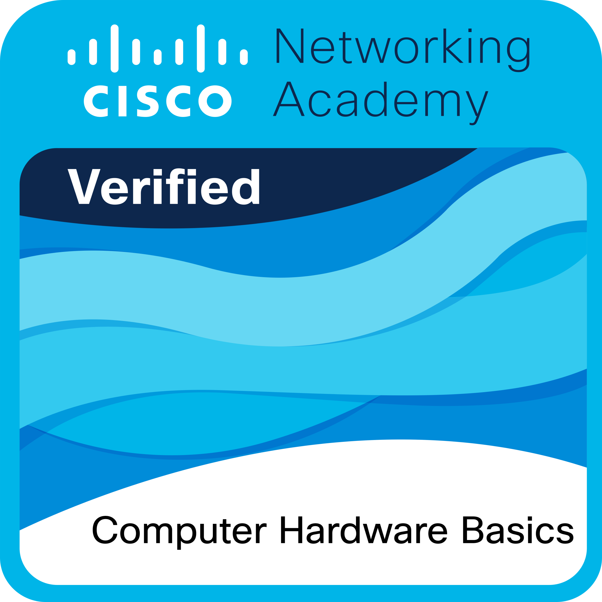 Computer Hardware Basics Badge